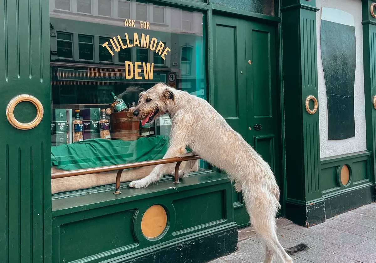 Tullamore Dew :: Tour Booking